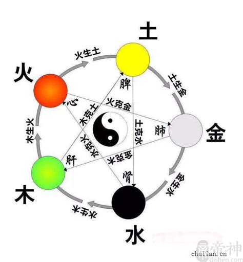 心五行|心字的五行,心的五行属性是什么